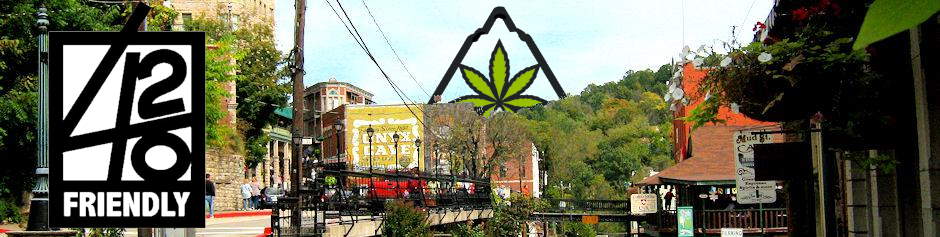Medical logo for Bud and Breakfasts or 420 Friendly Log