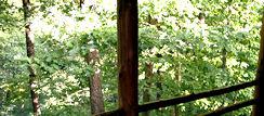 Private Vacation in Homer's Place Log Cabin Eureka Springs
