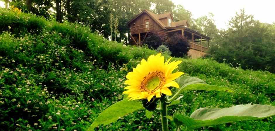 Cabins in Eureka Springs - Mountain Mist Family Log Cabin