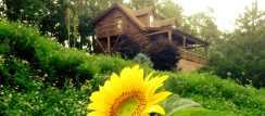 Rental cottages in Eureka Springs Arkansas