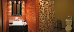 Eureka Springs Cabins - Whilpool Tub