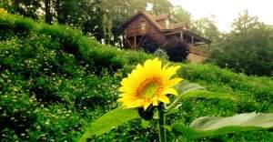 Log Cabin in Eureka Springs Arkansas with loft and Whirlpool Tub
